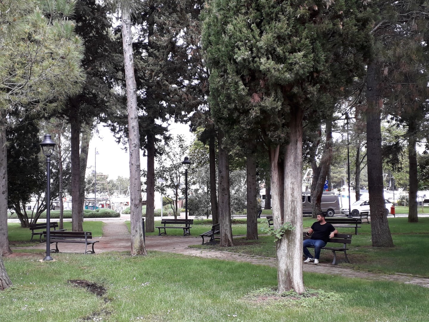 Poetska duša novigradskih parkova